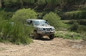 rass_2008 (65)